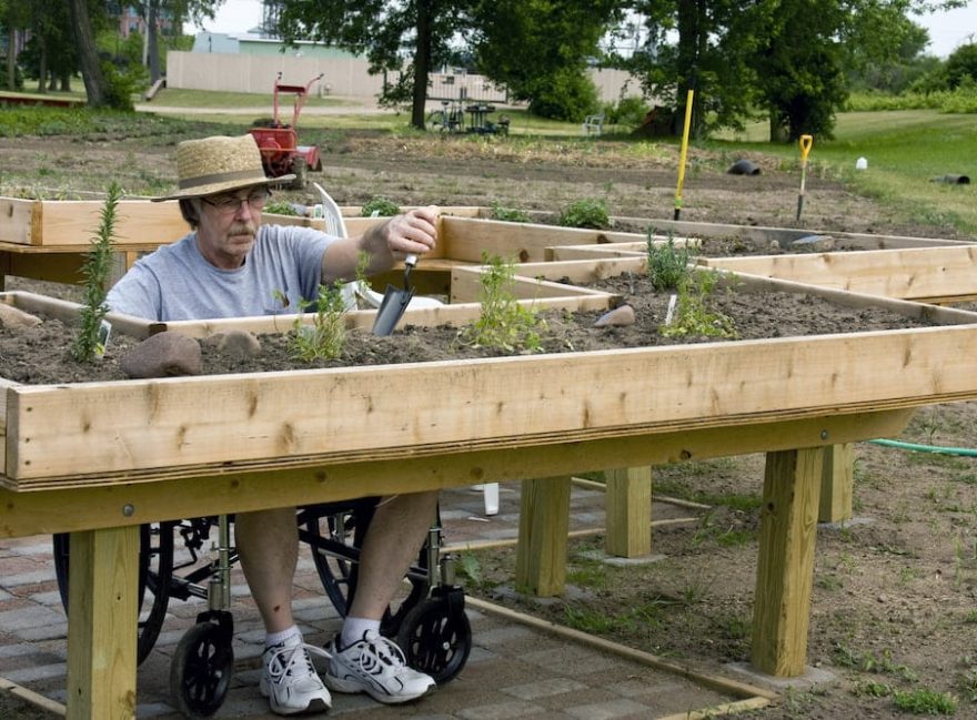 Man On Wheelchair Planting — Disability Support Services in Robina, QLD